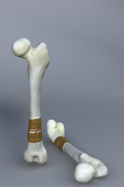 3d model bone club