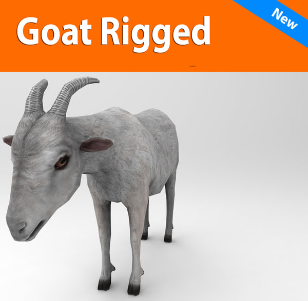 Goat 3D Models For Download | TurboSquid