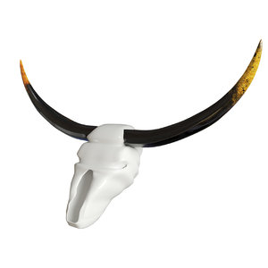 3d model buffalo skull