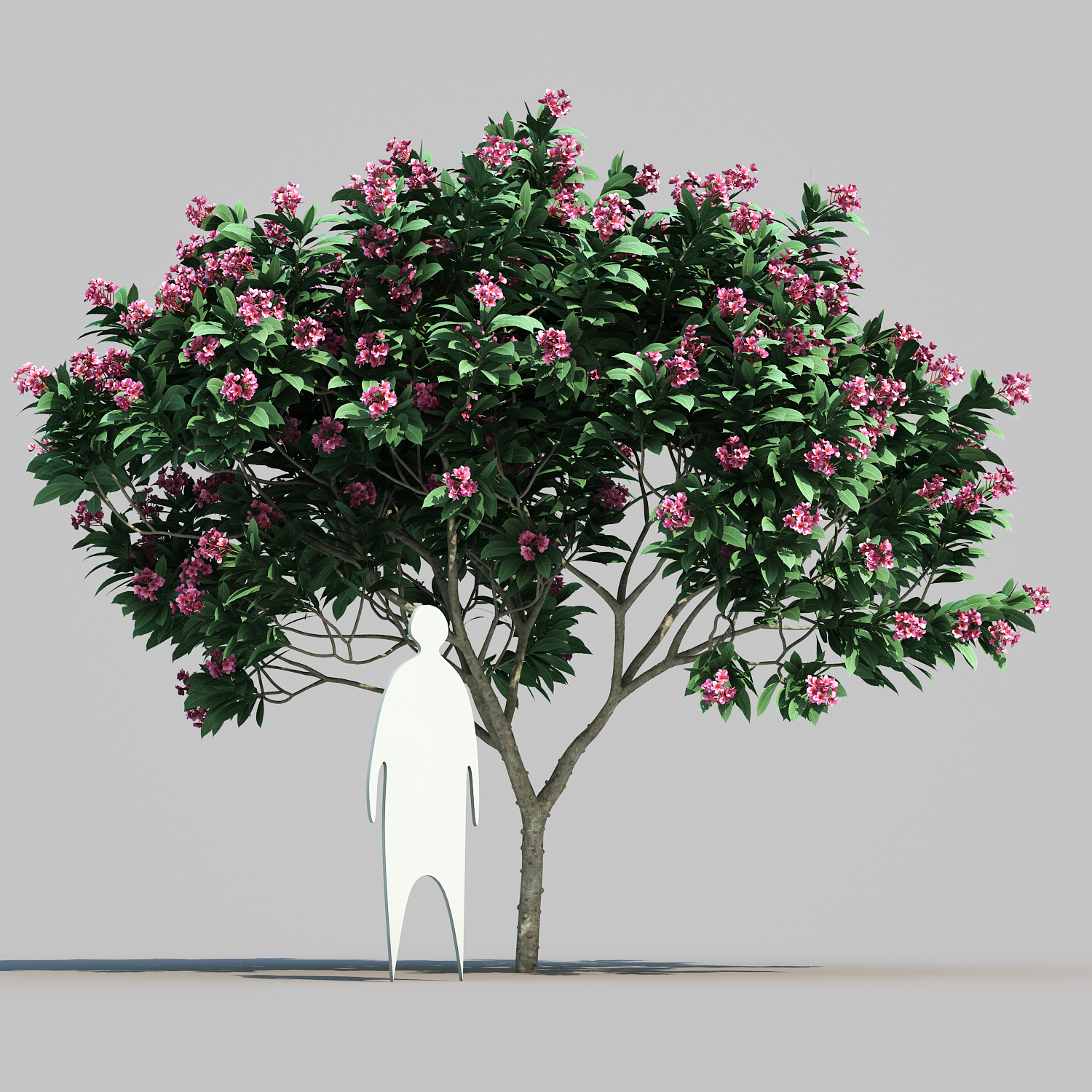 flower tree 3d model free download