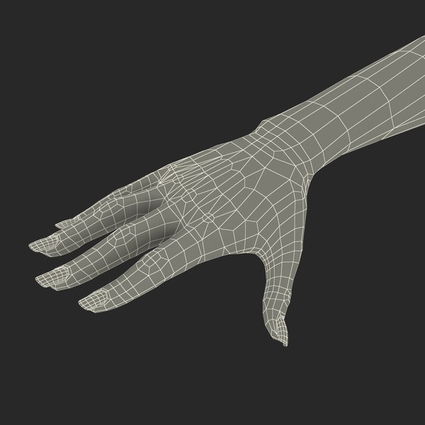 3d hand model for drawing