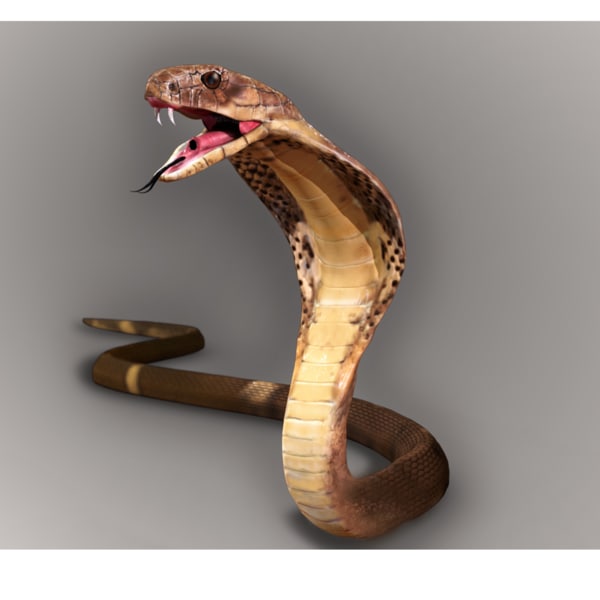 realistic king cobra snake obj