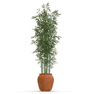bamboo pot 3d max