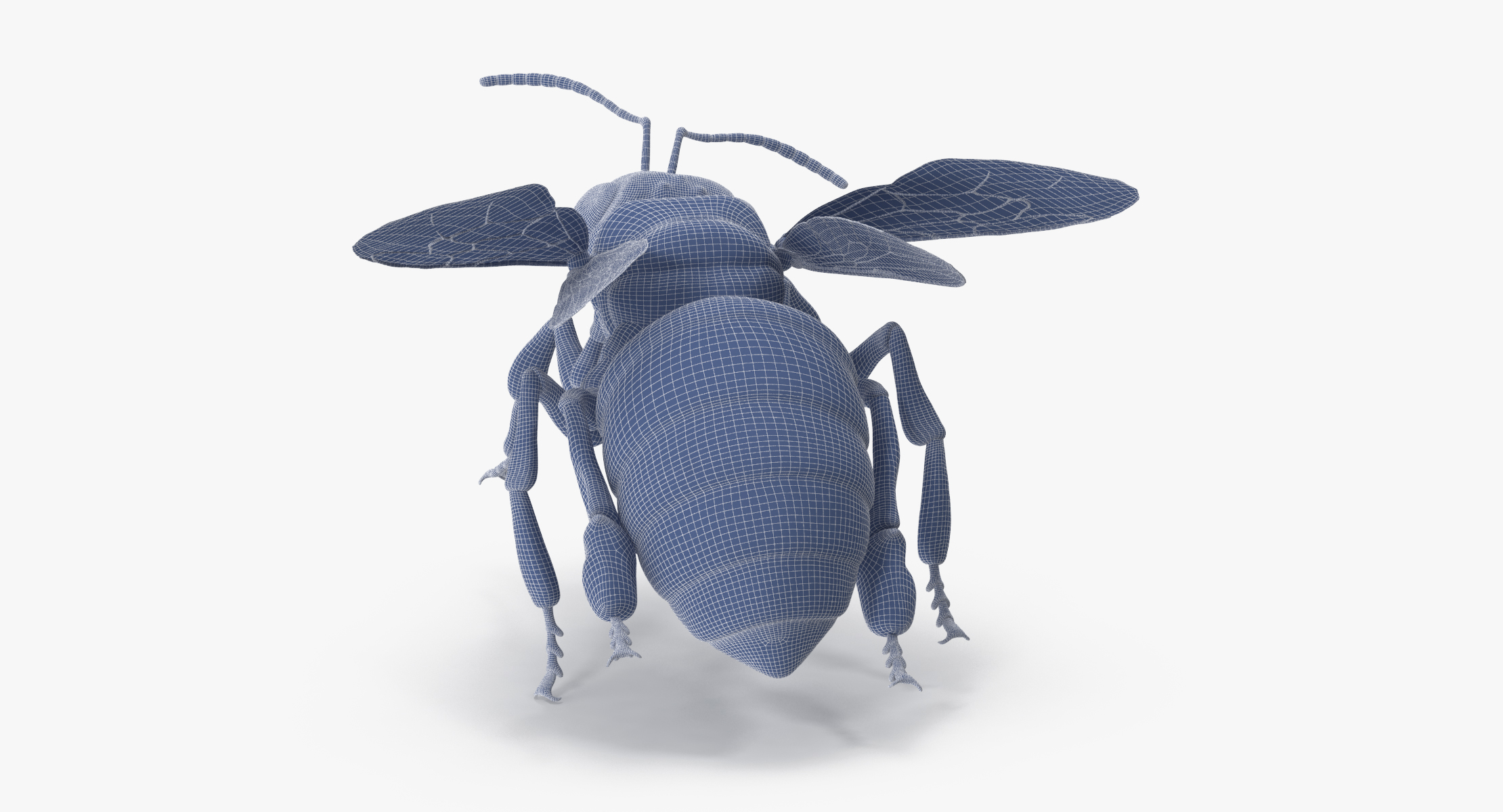 Bee 3d Max
