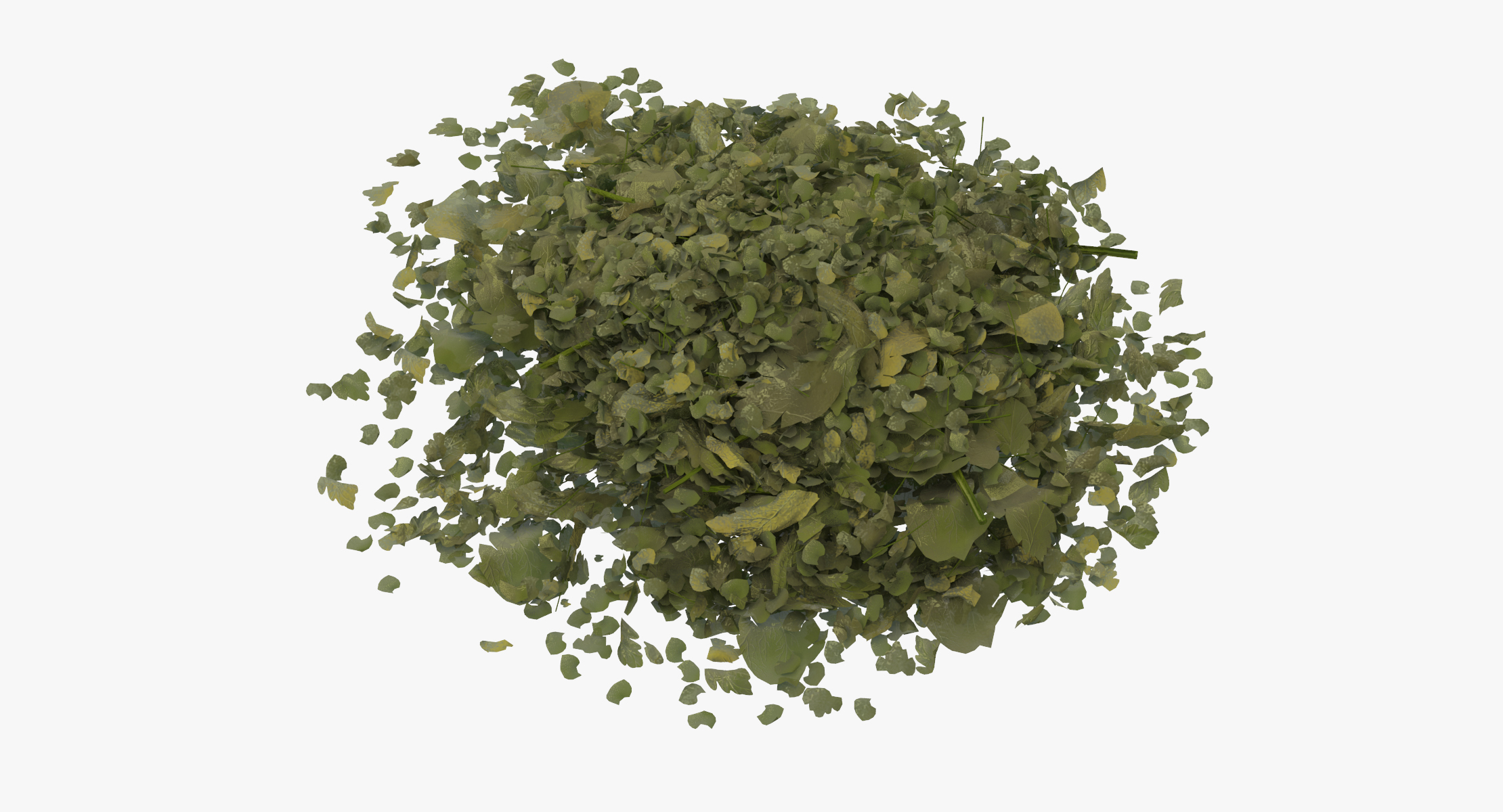 3d chopped dried parsley