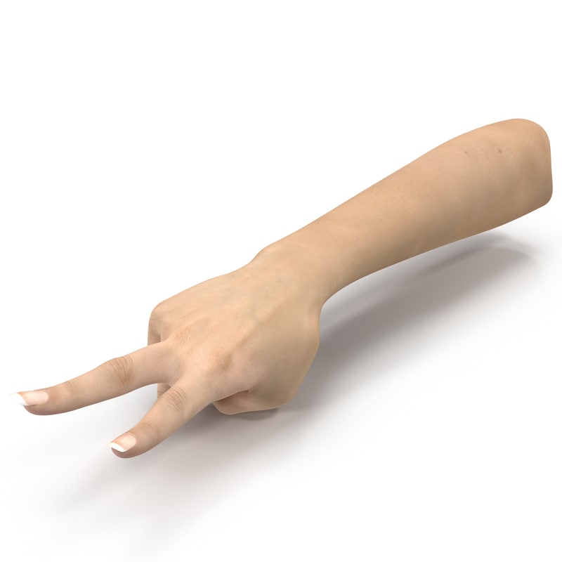 3d model  female hand  3 pose 