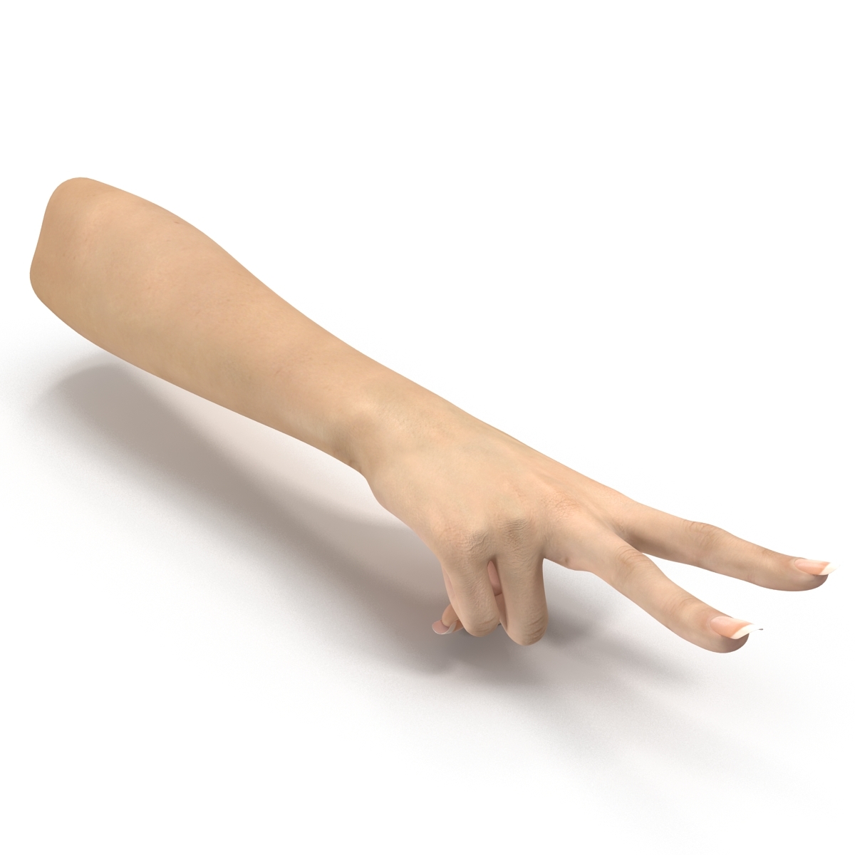 3d hand model reference