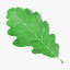 3d obj oak leaf