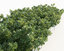 shrubs multiscatter scatterable 3d 3ds
