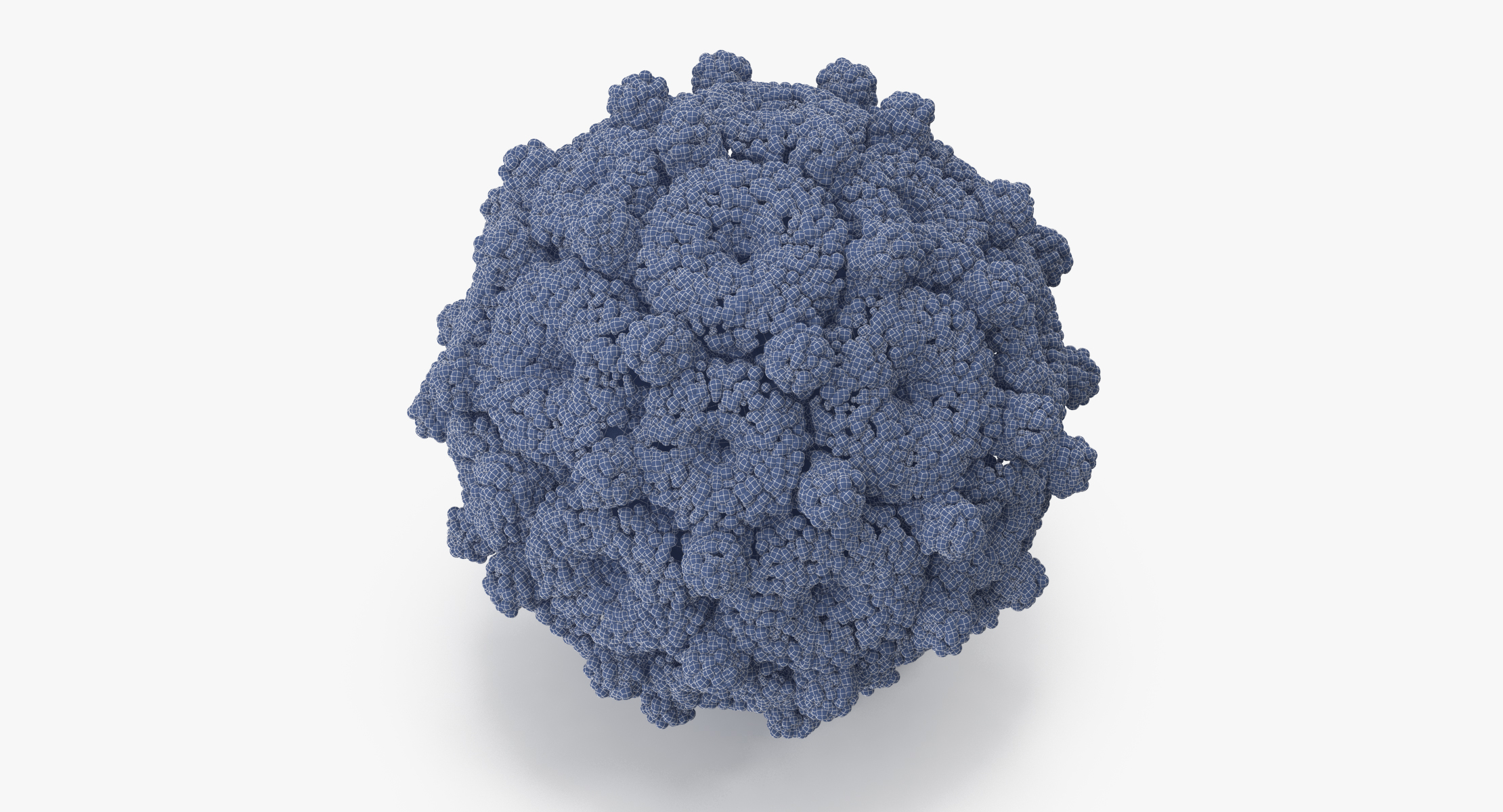 Hepatitis B 3d Model