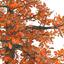 big oak autumn tree 3d 3ds