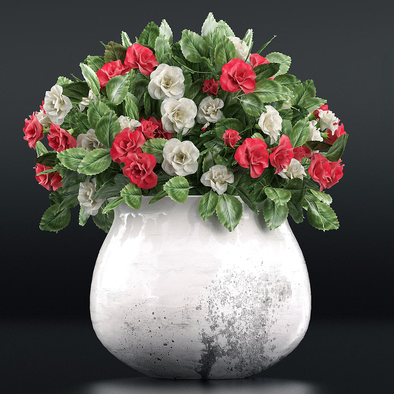  3d  flowers  vase 