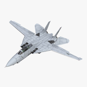 f-14 tomcat combat aircraft 3d max