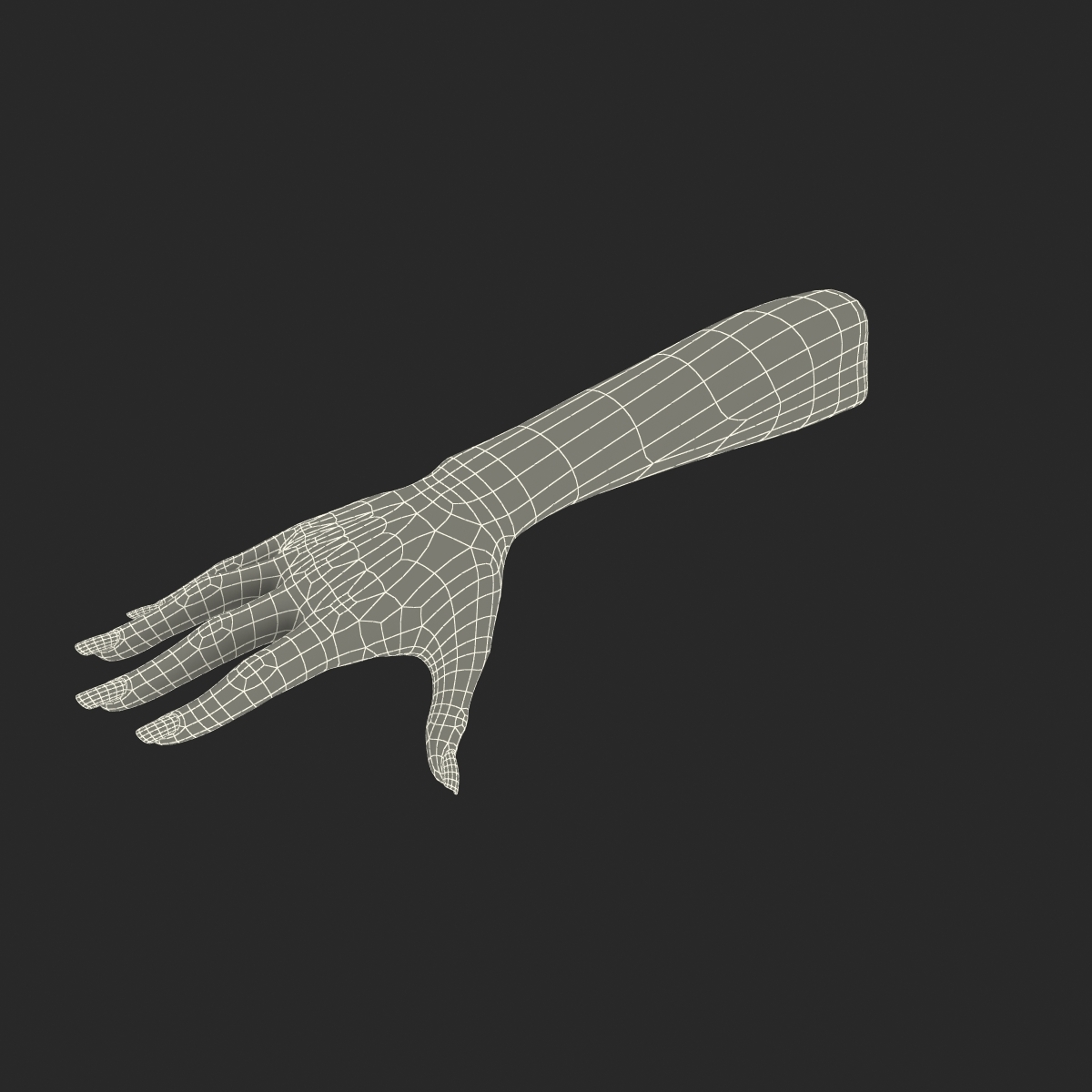 female hand rigged max