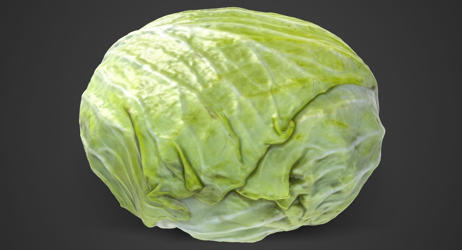 Cabbage 1 3d Max 8409