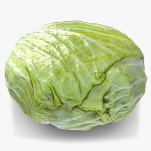 cabbage 1 3d max