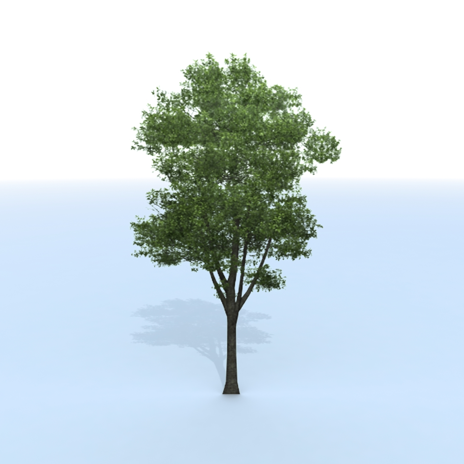 3d tree branches model