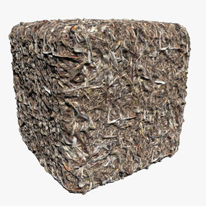 Forest Cover/Duff - Photogrammetry Texture(1)