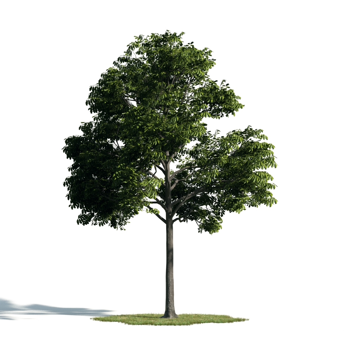 3d archmodels vol 171 trees