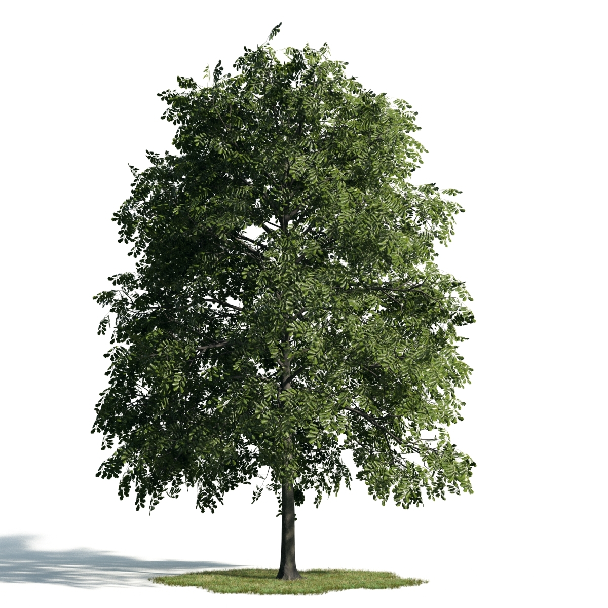 3d archmodels vol 171 trees