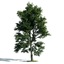 3d archmodels vol 171 trees