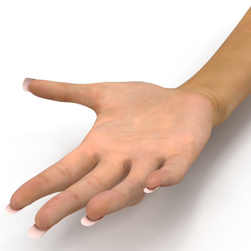 female hand 2 rigged 3d model