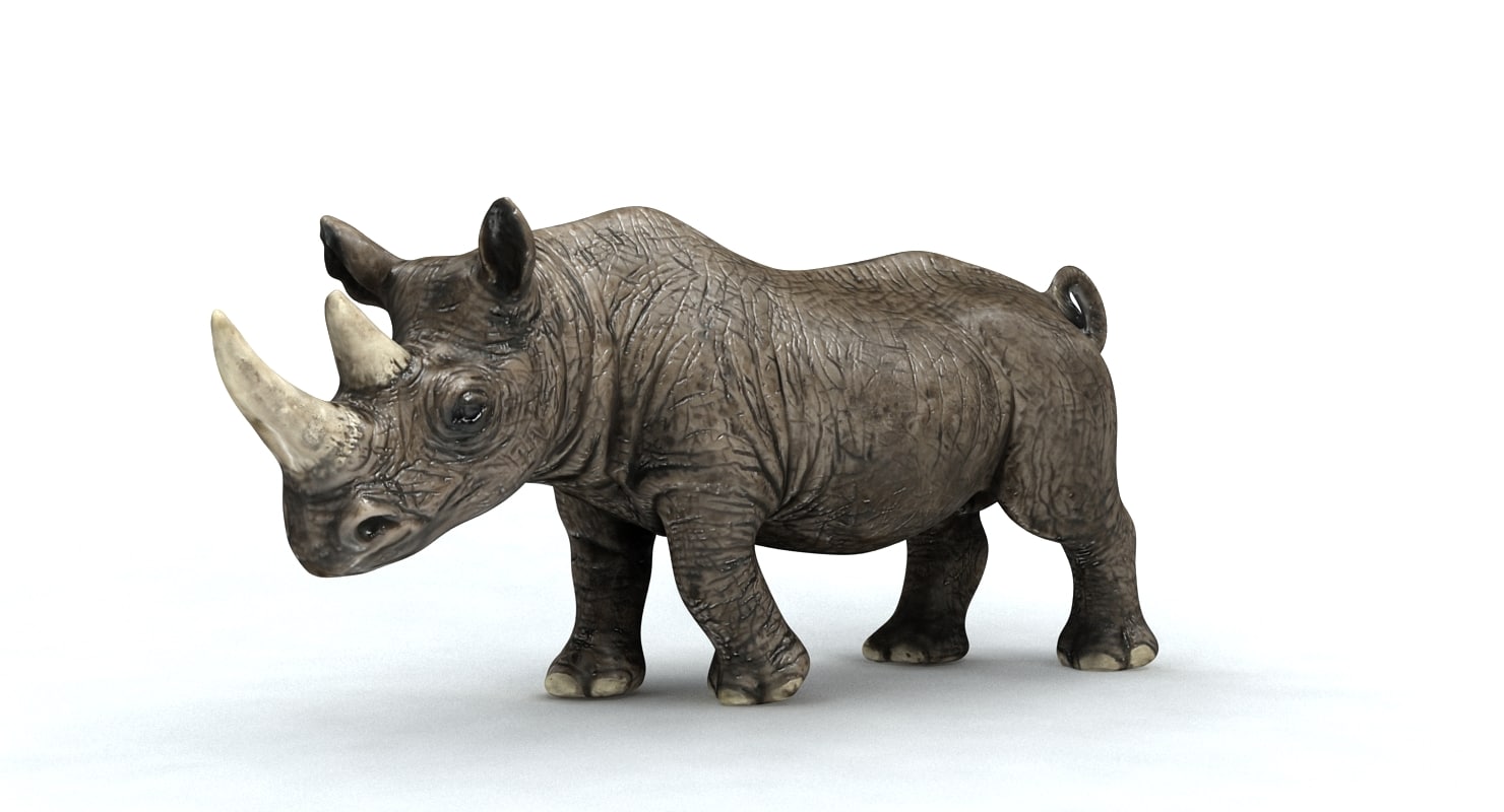 Rhinoceros 3D 7.31.23166.15001 free downloads