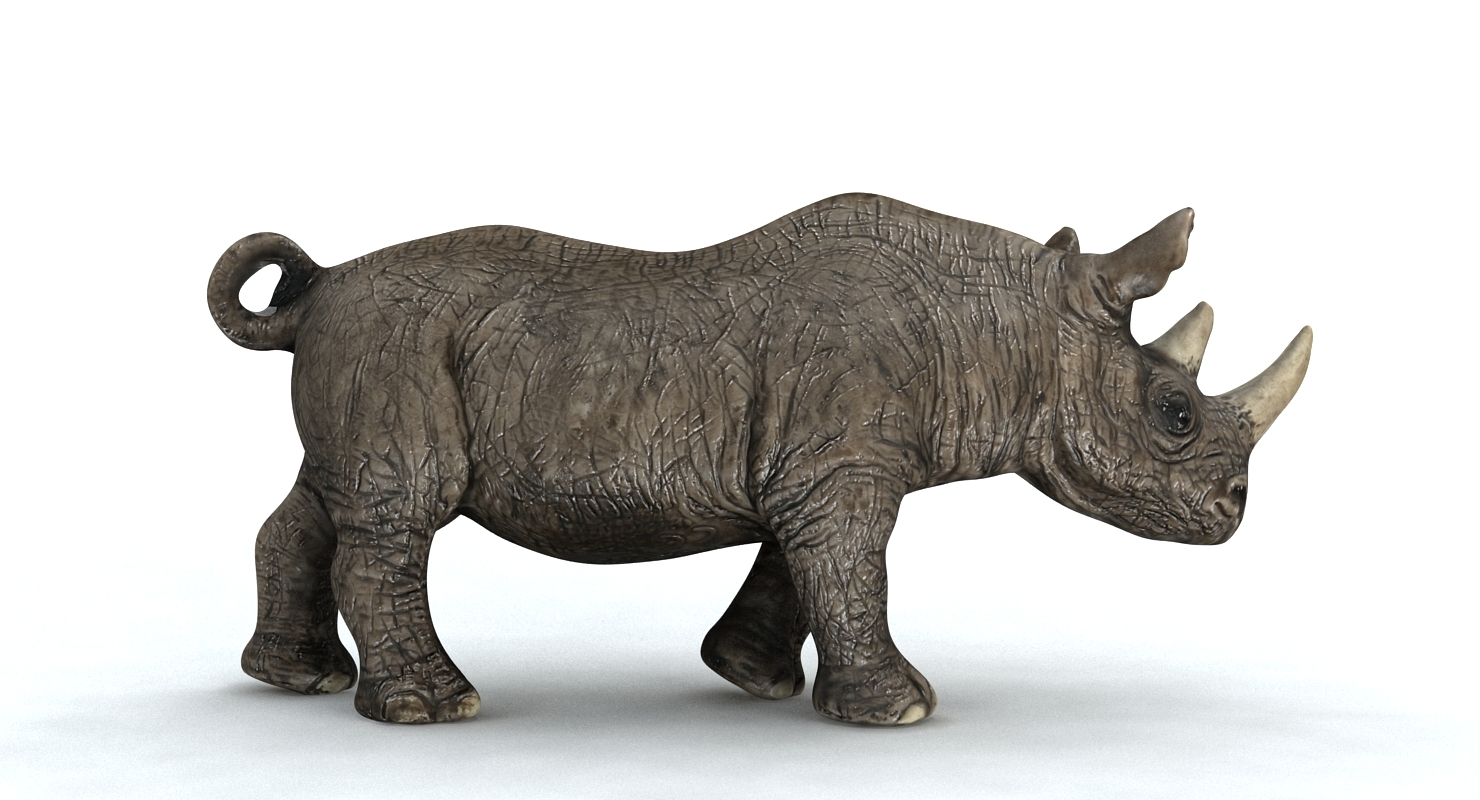 free Rhinoceros 3D 7.31.23166.15001 for iphone download