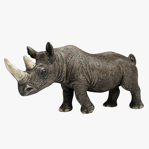 rhinoceros 3ds