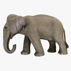 3d female elephant