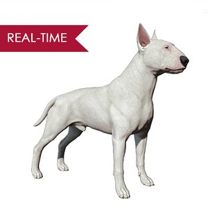bull terrier real-time real time 3d model
