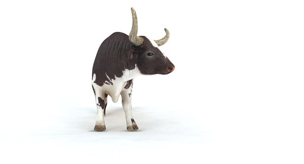 longhorn bull 3d model