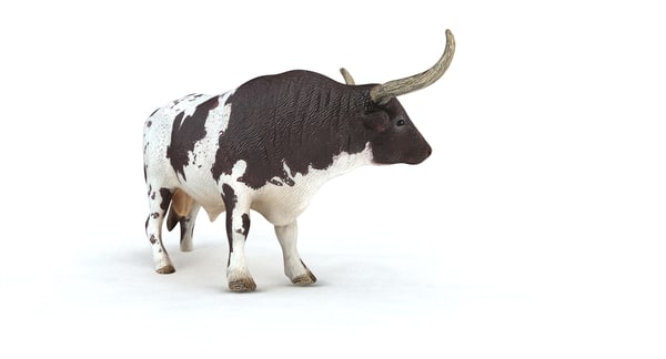 longhorn bull 3d model