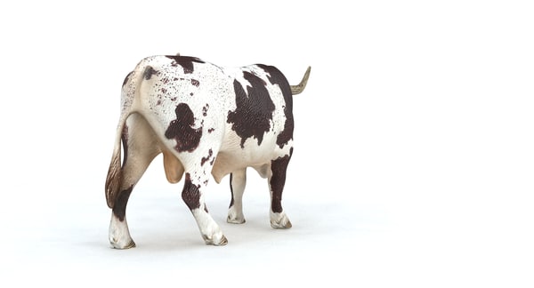 longhorn bull 3d model