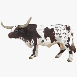longhorn bull 3d model