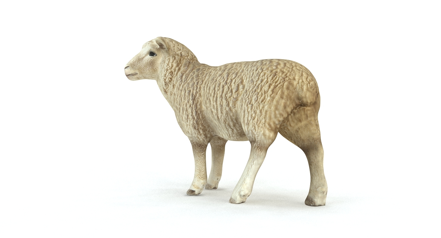 羊3d模型