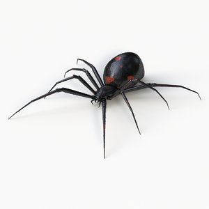 3d black widow spider model