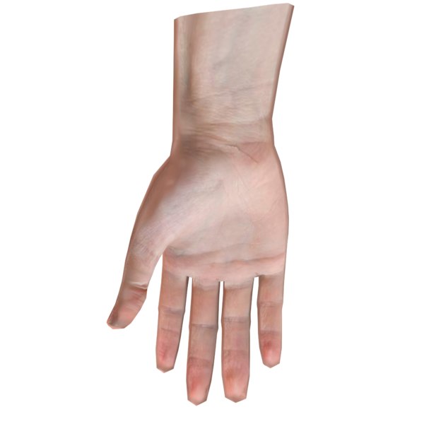 3d Hand Base Mesh Low Poly