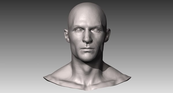 3D модель Реалистичная белая мужская голова - TurboSquid 1061919