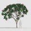 3d trunk flower 10 tree model