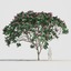3d trunk flower 10 tree model