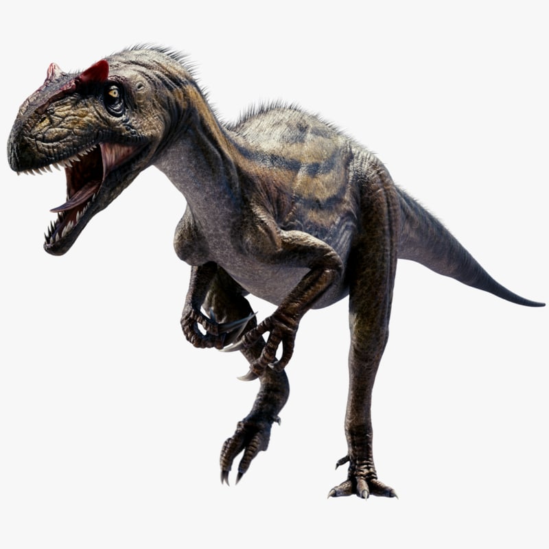 allosaurus raptor