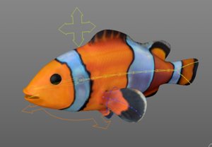3d c4d clownfish animation