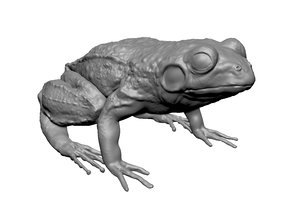 frog sculpture 3d obj