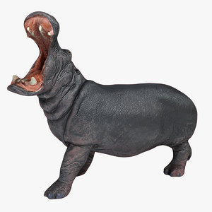 3d model of hippopotamus hippo