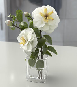 3d rose white model