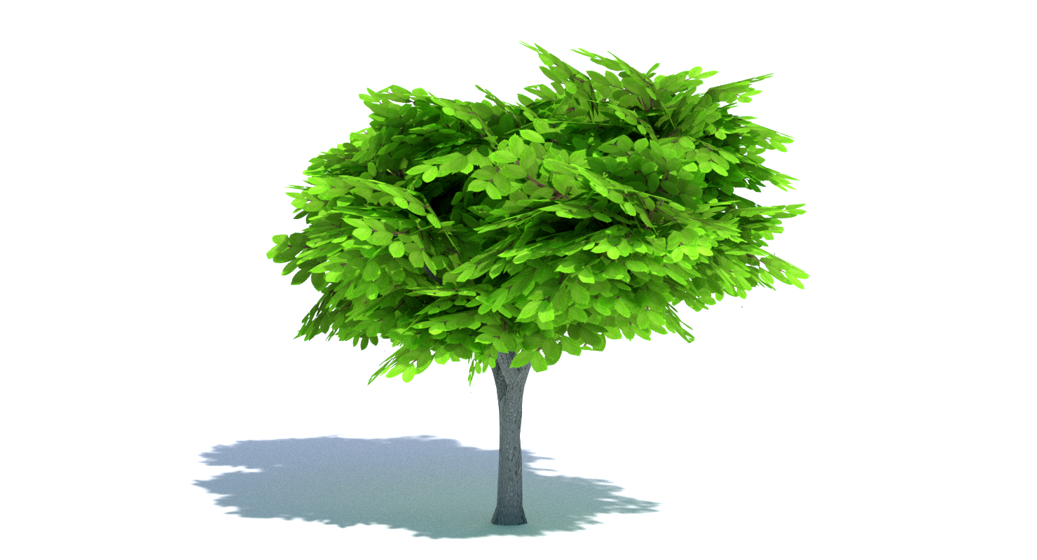 cartoon elm tree 3ds