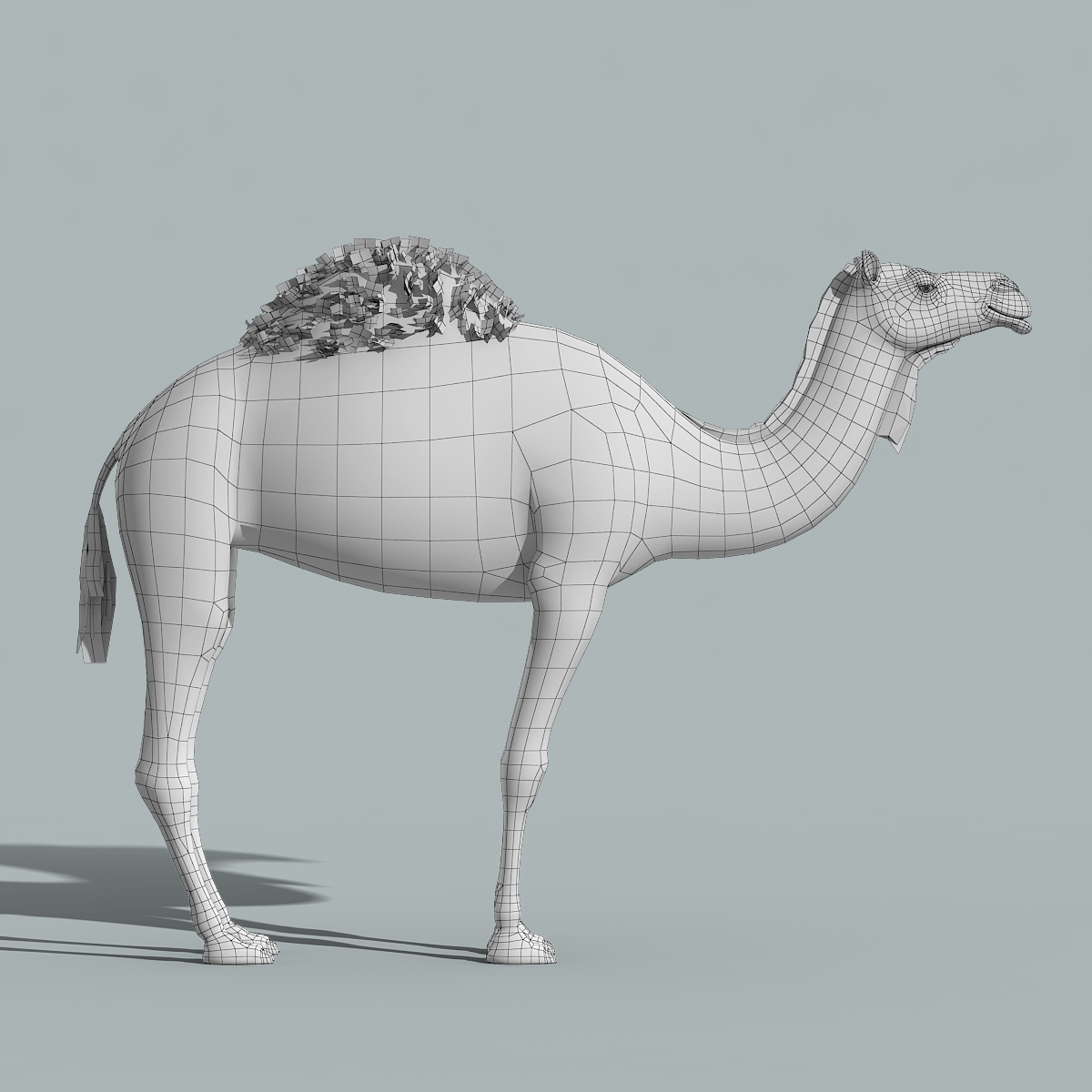 骆驼(操纵)3d模型