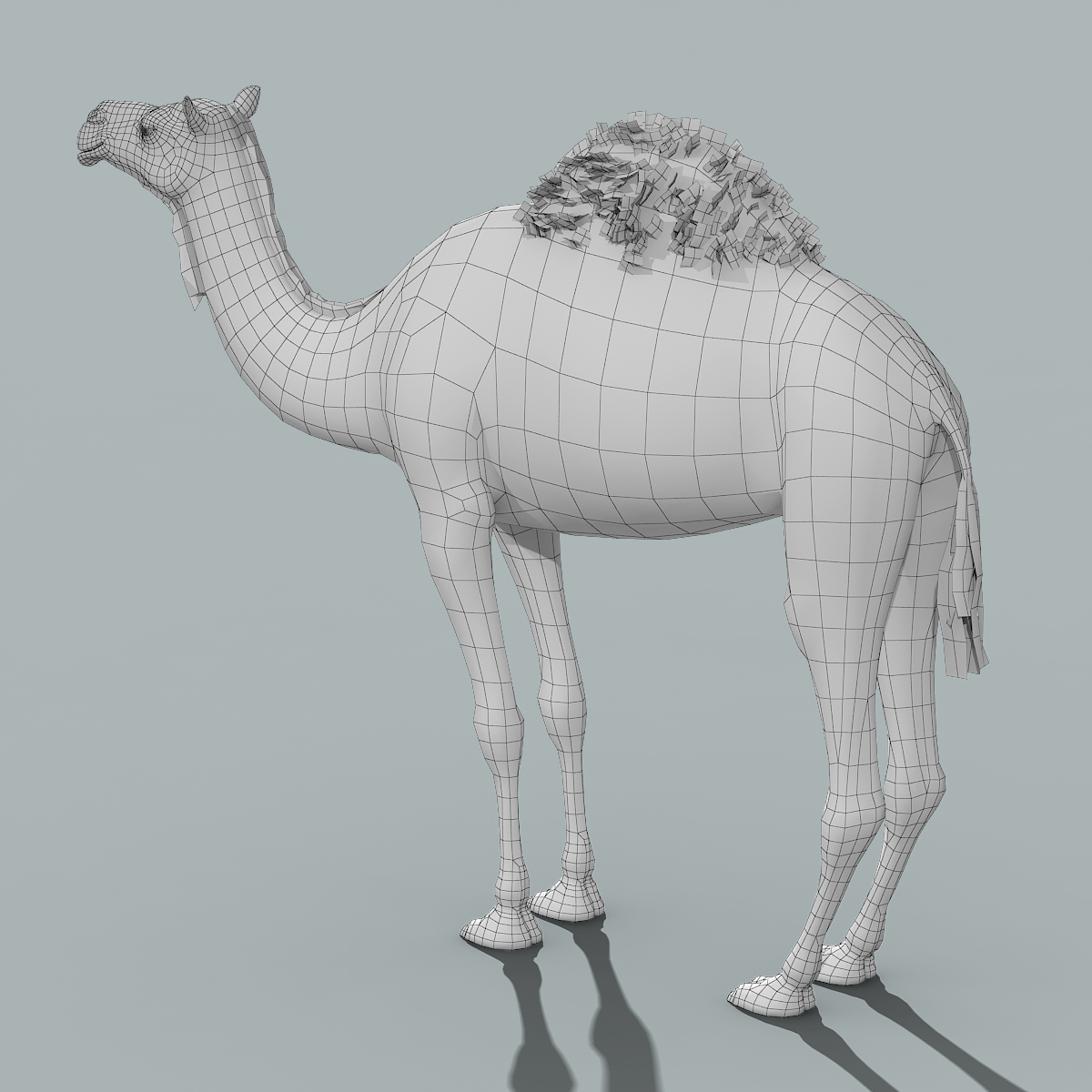 骆驼(操纵)3d模型