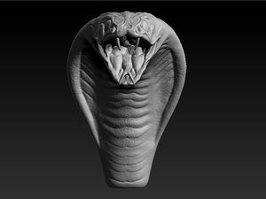 3d model cobra head